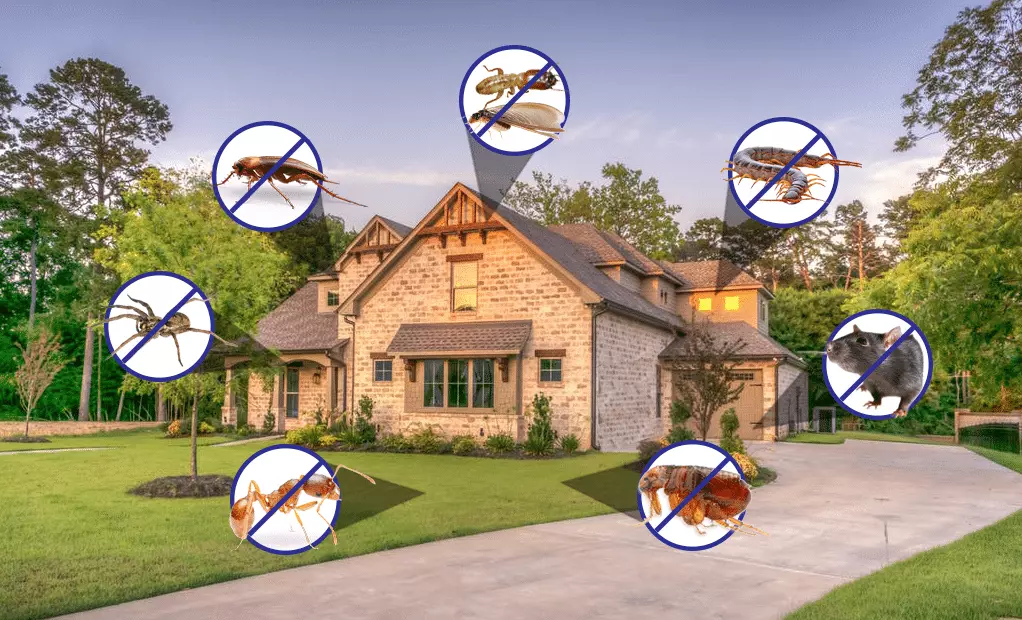 Residential Pest Control Massachusetts
